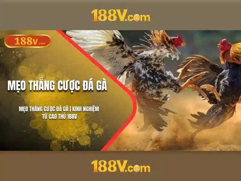 Ảnh hưởng xã hội của 188v