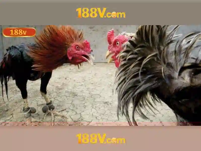 Lý thuyết cơ bản về điện áp 188V