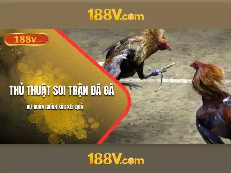 Ứng dụng thực tiễn và văn hóa