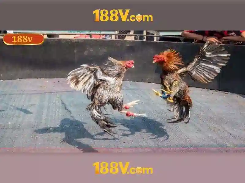 188v-platform-interface