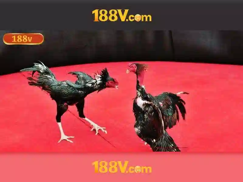 An toàn khi làm việc với 188V