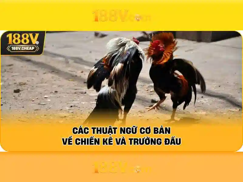 188v là gì?