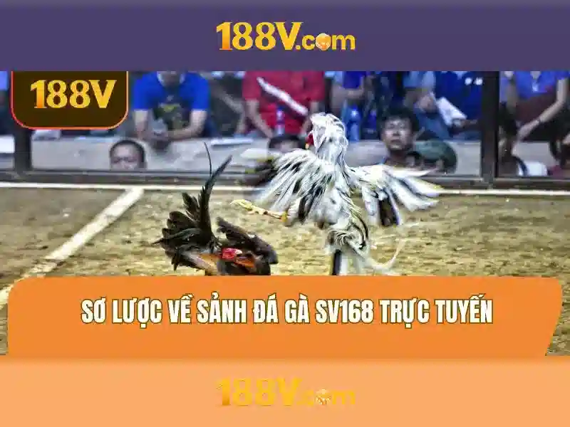 Ngoại cảnh và nguồn gốc