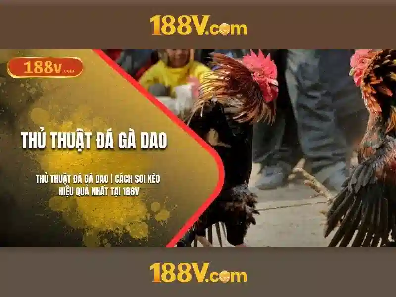 Kiến trúc và cảm nhận