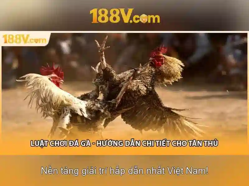 Âm thanh và hình ảnh gợi lên 188v