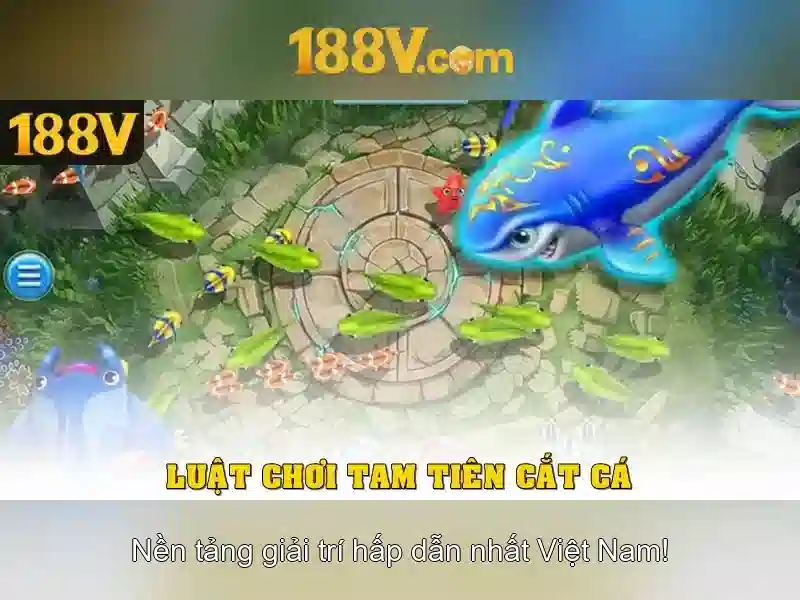 Kết luận