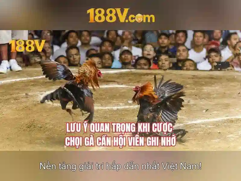 Ứng dụng thực tế và ví dụ