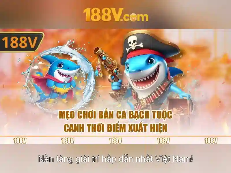 Ứng dụng và trải nghiệm