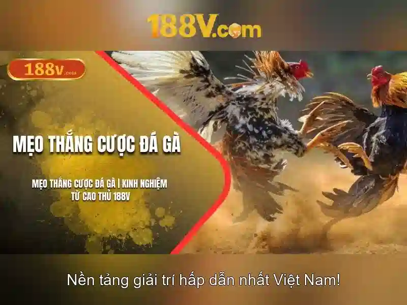 Quá trình hình thành