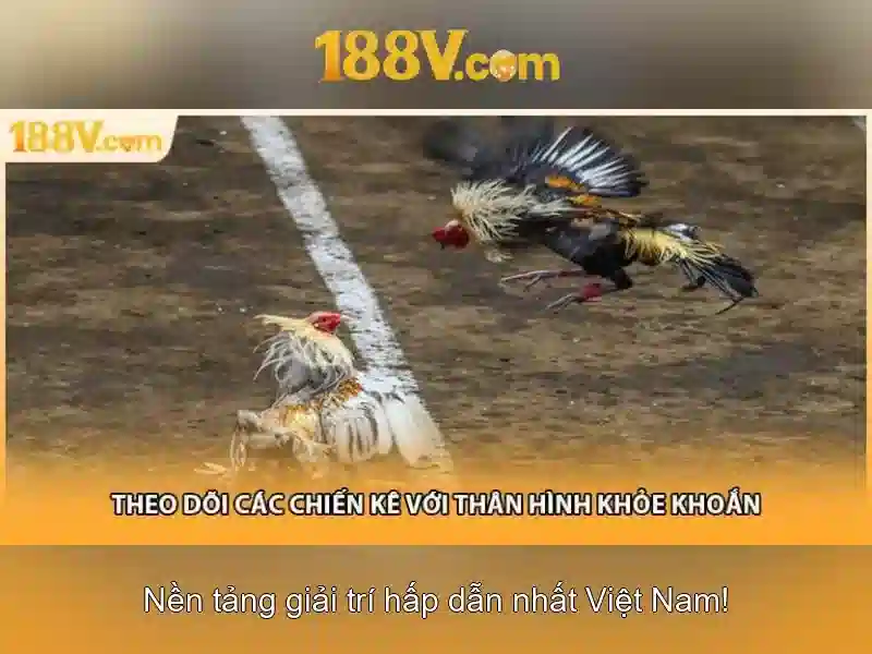 Khám phá công nghệ của 188v