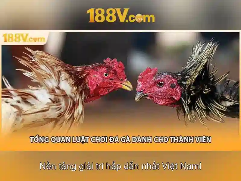 188v và bí ẩn của ký hiệu