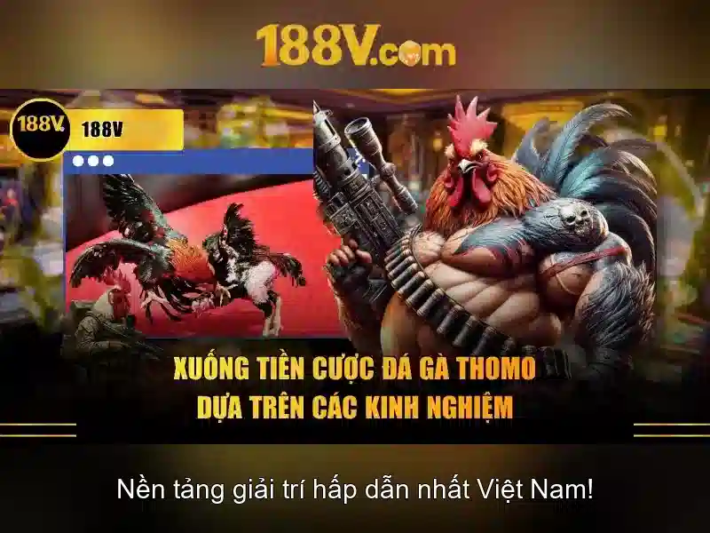 Định nghĩa và nguồn gốc của 188v
