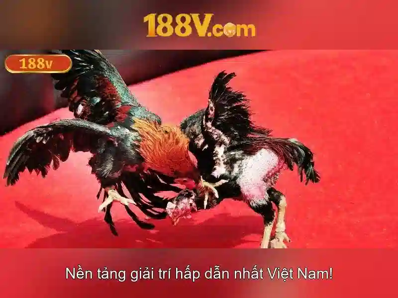 Ứng dụng và an toàn