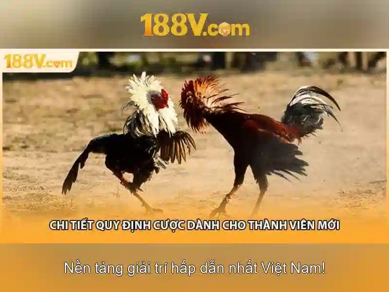 Định nghĩa của 188v