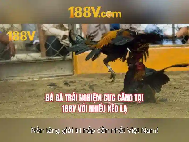 Nguồn gốc và ý nghĩa