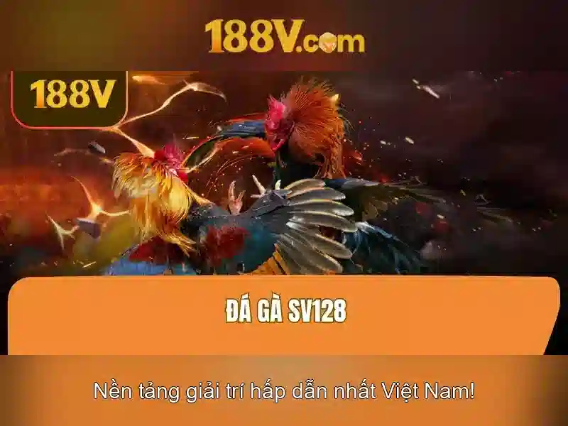 Áp dụng và hình dung trong đời sống