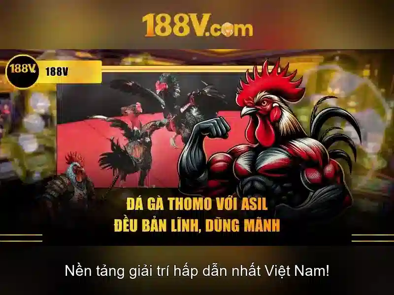 Ứng dụng tiềm năng